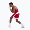 Férfi edző rövidnadrág Boxraw Stevenson V2 red/white 3