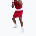 Férfi edző rövidnadrág Boxraw Stevenson V2 red/white 4
