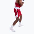 Férfi edző rövidnadrág Boxraw Stevenson V2 red/white 6