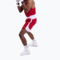 Férfi edző rövidnadrág Boxraw Stevenson V2 red/white 7