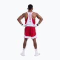 Férfi póló Boxraw Stevenson V2 Tank red/white 3