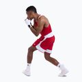 Férfi póló Boxraw Stevenson V2 Tank red/white 9