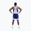 Férfi edző rövidnadrág Boxraw Stevenson V2 blue/white 3