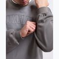 Férfi pulóver Boxraw East Street Sweatshirt distressed grey 8