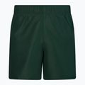 Férfi Nike Essential 5" Volley úszónadrág zöld NESSA560-303