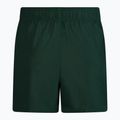 Férfi Nike Essential 5" Volley úszónadrág zöld NESSA560-303 2