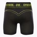 Női edzőnadrág Gymshark Apex Seamless Low Rise zöld/fekete 6