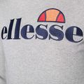 Férfi edző pulóver Ellesse Ferrer Oh Hoody szürke marl 7