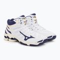 Férfi röplabda cipő Mizuno Wave Voltage Mid fehér / kék szalag / mp arany 5