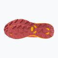 Női futócipő Mizuno Wave Daichi 8 GTX nasturtium/citrus/cranberry 6