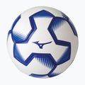 Focilabda Mizuno Fuji TR H size 5 white/blue