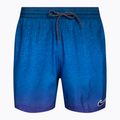 Férfi Nike Jdi Fade 5" Volley úszónadrág lila NESSC479-593