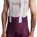 Férfi kerékpáros rövidnadrág Rapha Brevet Element Cargo Bib Shorts plum/white 3