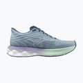Női Mizuno Wave Skyrise 6 futócipő citadel/fehér/bay 9
