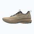 Férfi futócipő Mizuno Wave Rider TT 3 Curds & Whey/Summer Sand/North Atlantic 8