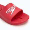 Férfi papucs Speedo Slide fed red 7