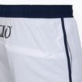 Férfi Speedo Jetstream Retro Logo Volley 16" fehér úszónadrág, fehér 4