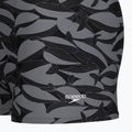 Férfi úszó boxer nadrág Speedo Print Beachstar Square Leg Anthracite/Coin Grey 8