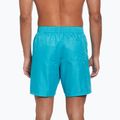 Férfi Nike Swim Breaker 7" Volley úszónadrág poros kaktuszos fürdőruha 3