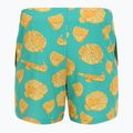 Férfi Nike Multi Print 5" Volley úszónadrág poros kaktusz 2