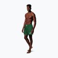 Férfi úszóshortok Nike Lap Logo 5" Volley malachite 2