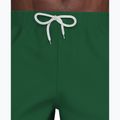 Férfi úszóshortok Nike Lap Logo 5" Volley malachite 6