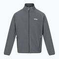 Férfi polár pulóver REGATTA Hadfield seal grey 6