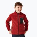 Gyerek pulóver REGATTA Junior Frankie Full Zip red ochre