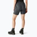 Női trekking rövidnadrág REGATTA Chaska III seal grey 3