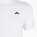 férfi póló Ellesse Holdino white 8