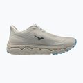 Férfi futócipők Mizuno Wave Horizon 9 foggy dew/dark slate/blue jewel 2