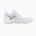 Női röplabda cipő Mizuno Wave Momentum Pro white/aqua gray/ambrosia