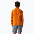 Gyerekek fleece kapucnis pulóver REGATTA Frankie Full Zip róka 3