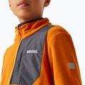 Gyerekek fleece kapucnis pulóver REGATTA Frankie Full Zip róka 4