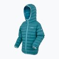 Gyerek dzseki REGATTA Hooded Marizion storm blue/nordic blue 3