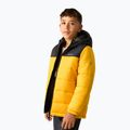 Gyerek bélelt kabát REGATTA Lofthouse black/mustard 5