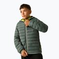 Gyerek bélelt kabát REGATTA Lofthouse dark forest green/wild lime 4