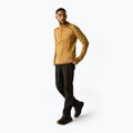 Férfi polár pulóver REGATTA Yonder II wood brown 2