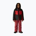 Gyerek síkabát Dare 2b Cheery black/danger red 2