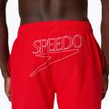 Férfi fürdőnadrág Speedo Classic Logo Volley 16" high risk red 6