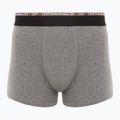 Férfi boxeralsó CR7 Basic Trunk 10 pár multicolor 3