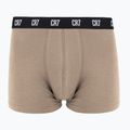 Férfi boxeralsó CR7 Basic Trunk 5 pár 2414 több színű 5