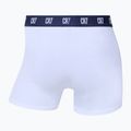 Férfi boxeralsó CR7 Basic Trunk 5 pár 2336 többszínű 7