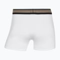 Férfi boxeralsó CR7 Fashion Trunk 5 pairs multicolour 10