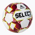SELECT Future Light DB labdarúgó 2019 gesztenyebarna és fehér 0763846003 2