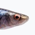 SavageGear LB 4D Hering Shad süllő 63663 2