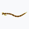 Westin BloodTeez Worm Teez gumicsali 8 db motorolaj arany P001-309-006