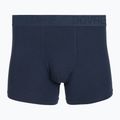 Férfi Termoaktív boxer nadrág Dovre Tights 3 pack grey 3