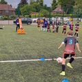 Ball Launcher Golyóvető narancssárga 04779 11
