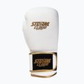 Bokszkesztyűk StormCloud Boxing Pro white/gold 2